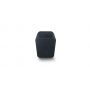 Умная колонка Bluesound PULSE FLEX 2i, black